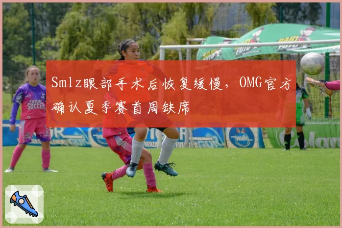 Smlz眼部手术后恢复缓慢,OMG官方确认夏季赛首周缺席