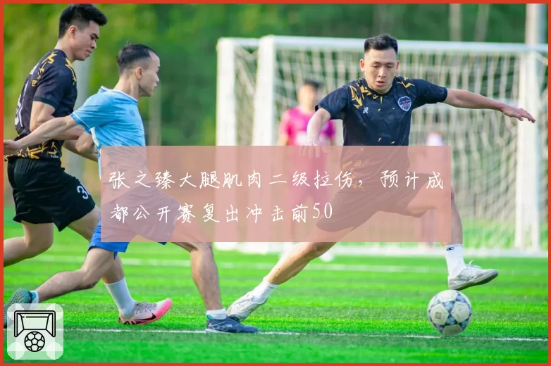张之臻大腿肌肉二级拉伤，预计成都公开赛复出冲击前50