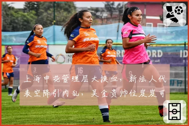 上海申花管理层大换血，新法人代表空降引内乱，吴金贵帅位岌岌可危