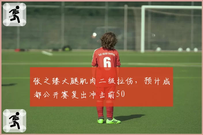张之臻大腿肌肉二级拉伤，预计成都公开赛复出冲击前50